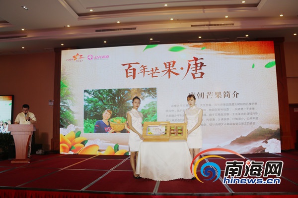 昌江“百年芒果”拍卖 40个卖出44.6万元人民币