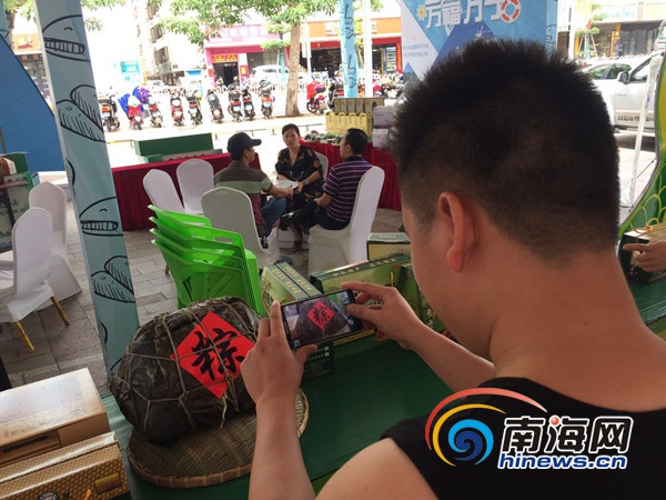 海南名粽展为孩童送香囊 展商连夜返儋州补货点赞销量好