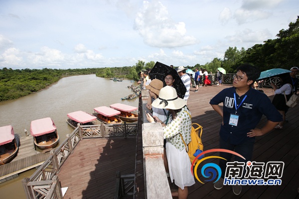 网媒记者走进海口东寨港红树林 感受人与自然和谐景象