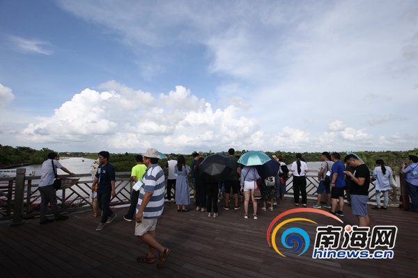 网媒记者走进海口东寨港红树林 感受人与自然和谐景象