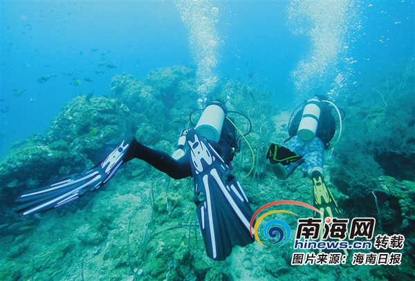 三亚频出妙招保护珊瑚礁 珊瑚海旅游成渔民新饭碗