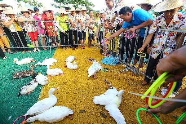 首届“中国农民丰收节”海南庆祝活动三亚举行