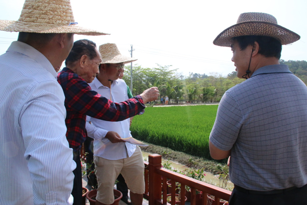 袁隆平到访三亚水稻国家公园